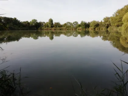 Angerteich (Krostitz)