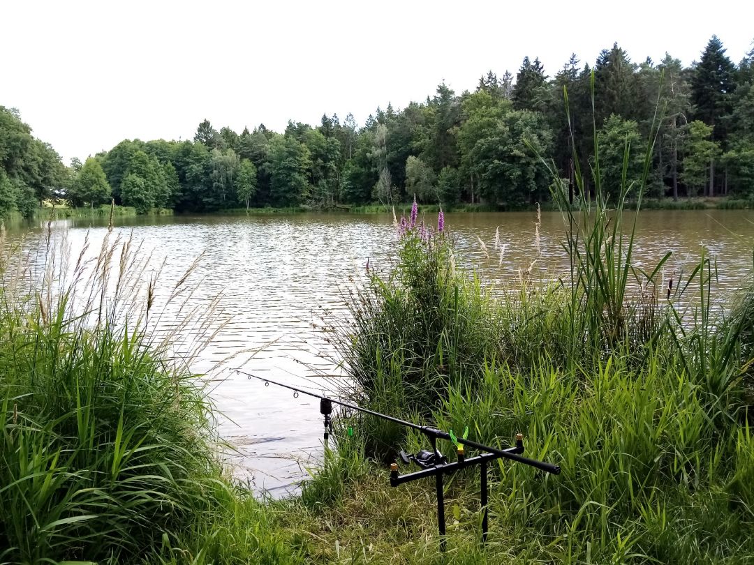 Volkemer Weiher angeln