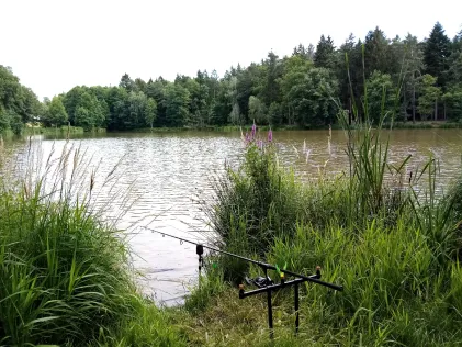 Volkemer Weiher