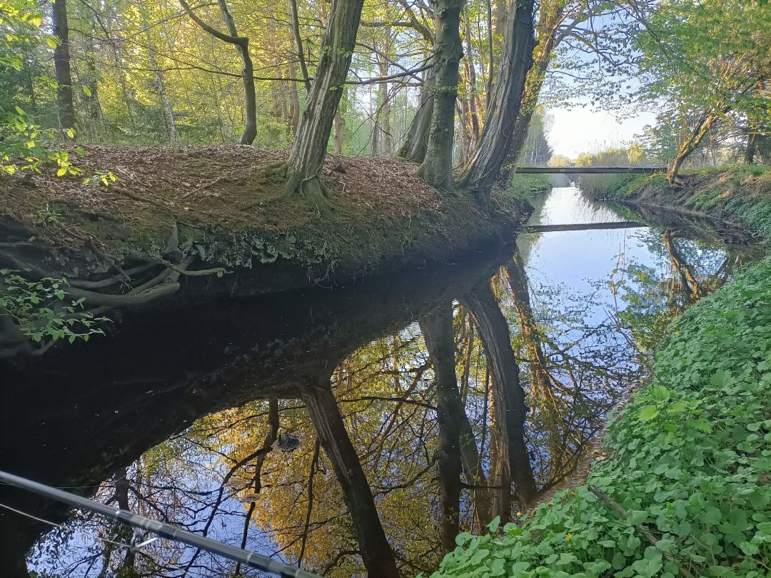 Horsterbeck angeln