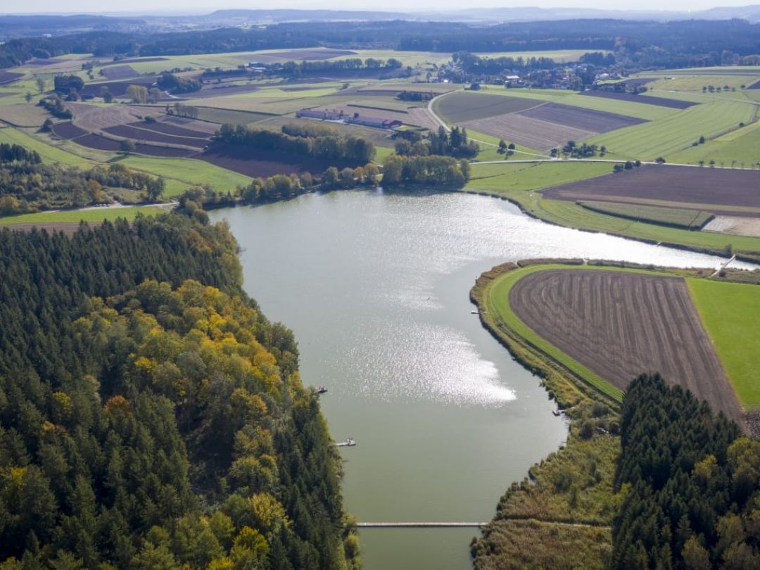 Lausheimer Weiher angeln