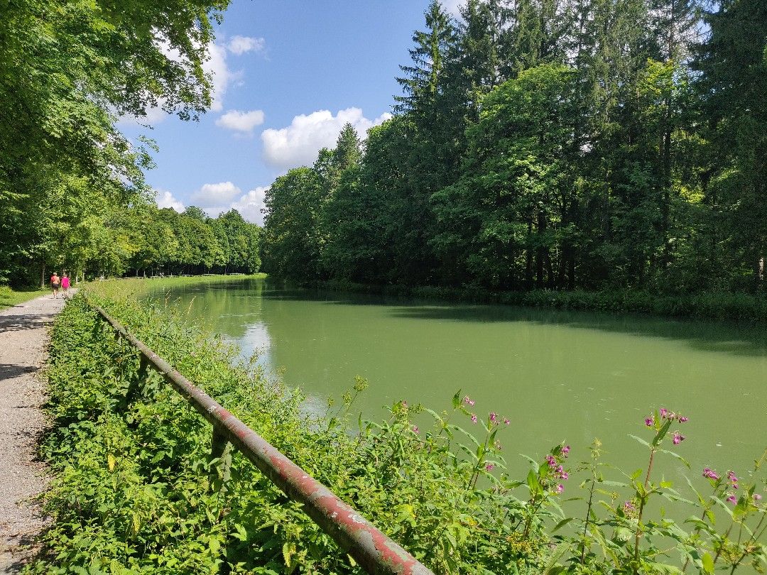 Isarwerkkanal (München) angeln