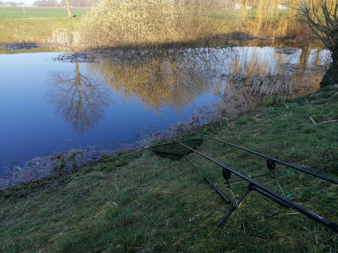 Esdoornlaan (Wehl)  angeln