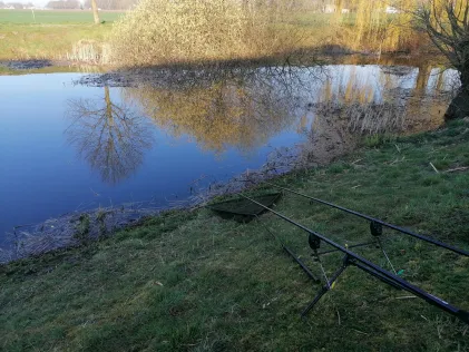 Esdoornlaan (Wehl) 