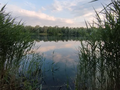 Werler See