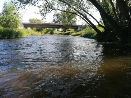 Gera (Walschleben)