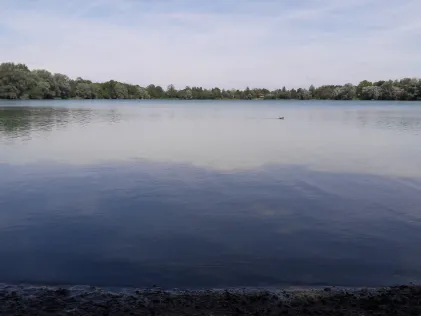 Fasaneriesee (München)