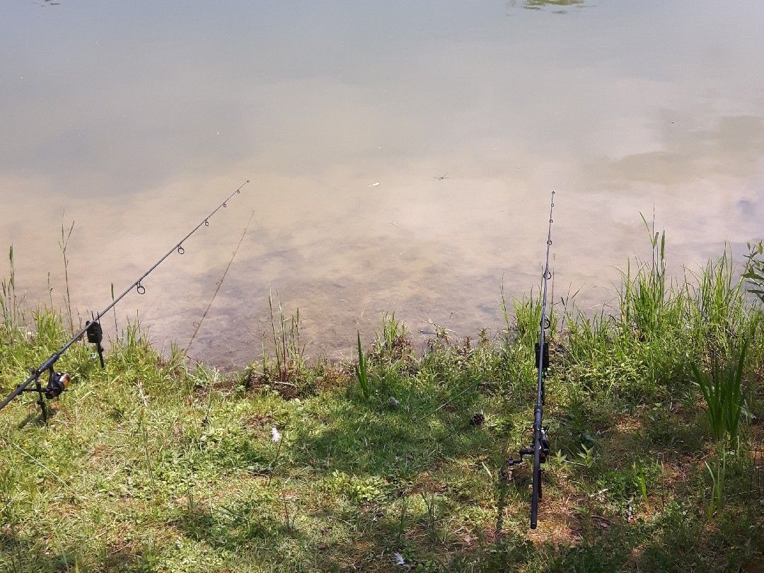 Bitzensee (Münster/Dieburg) angeln