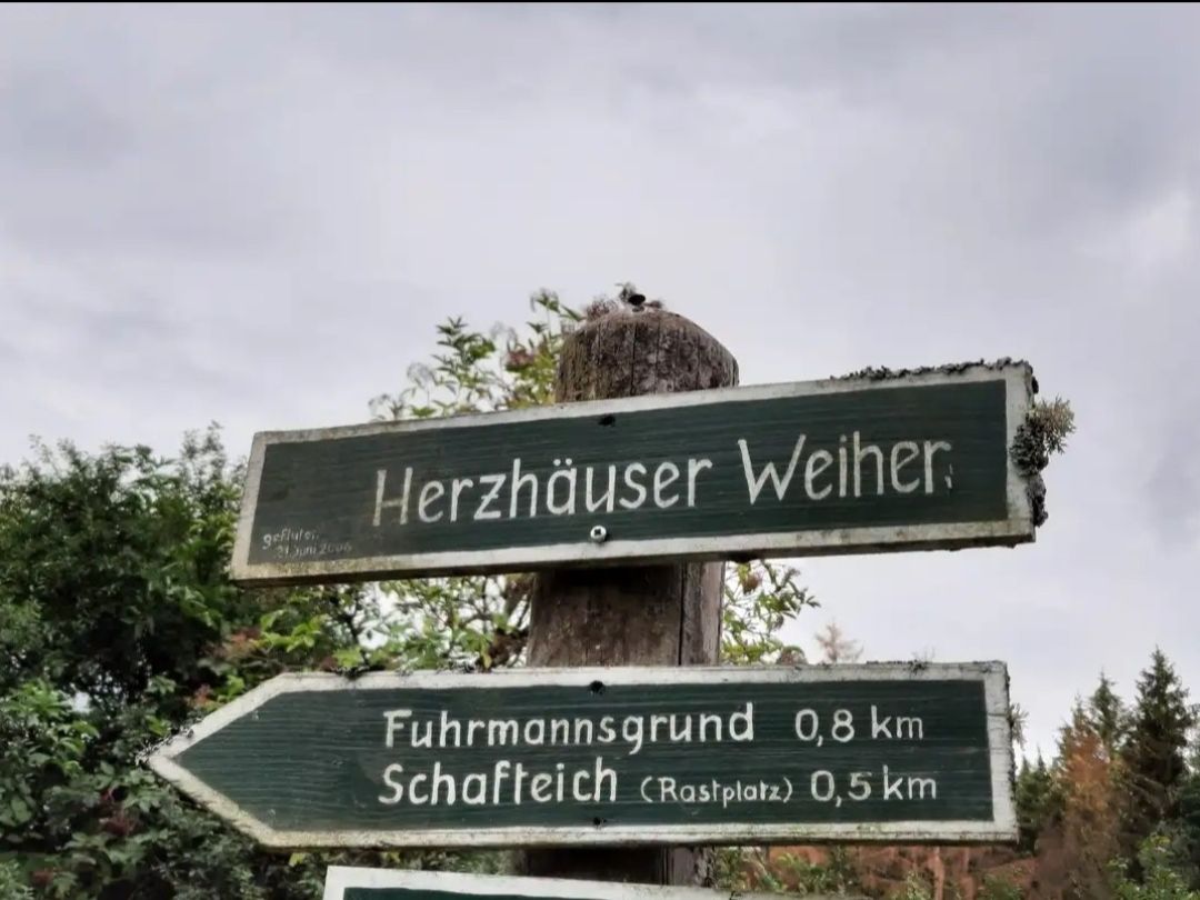 Herzhäuser Weiher angeln