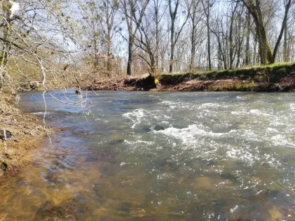 Blies (Bliesransbach)