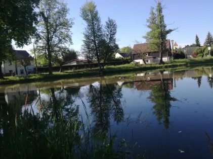 Schulteich Lohsa