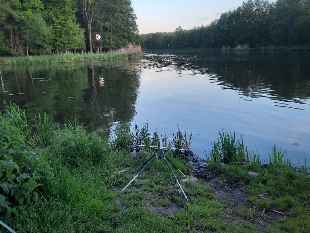 Spree (Berkenbrück) angeln