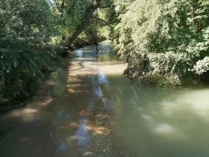 Sur (Freilassing)