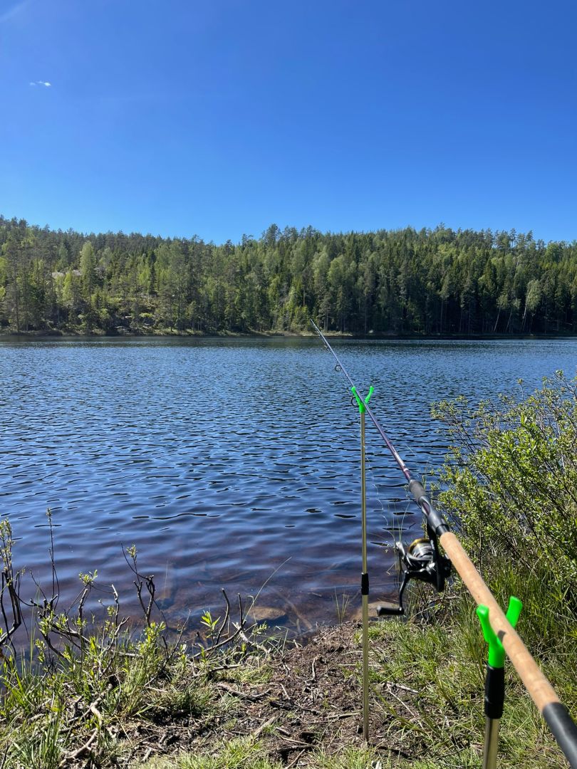 Kvarntjärnen angeln