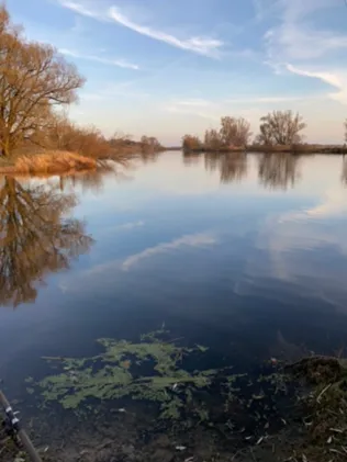 Havel (Vehlgast)