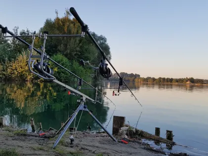 Wammsee (Speyer)