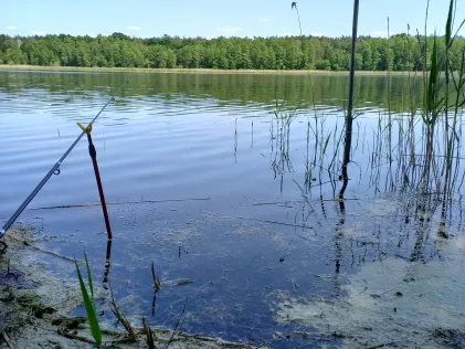 Ranziger See