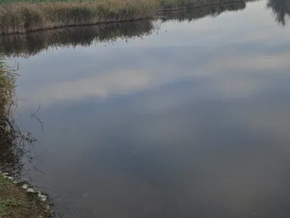 Braakmankreek