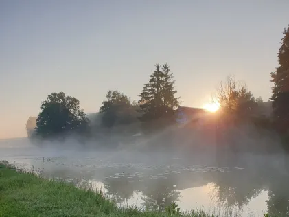Langer Weiher (Veitsbronn)
