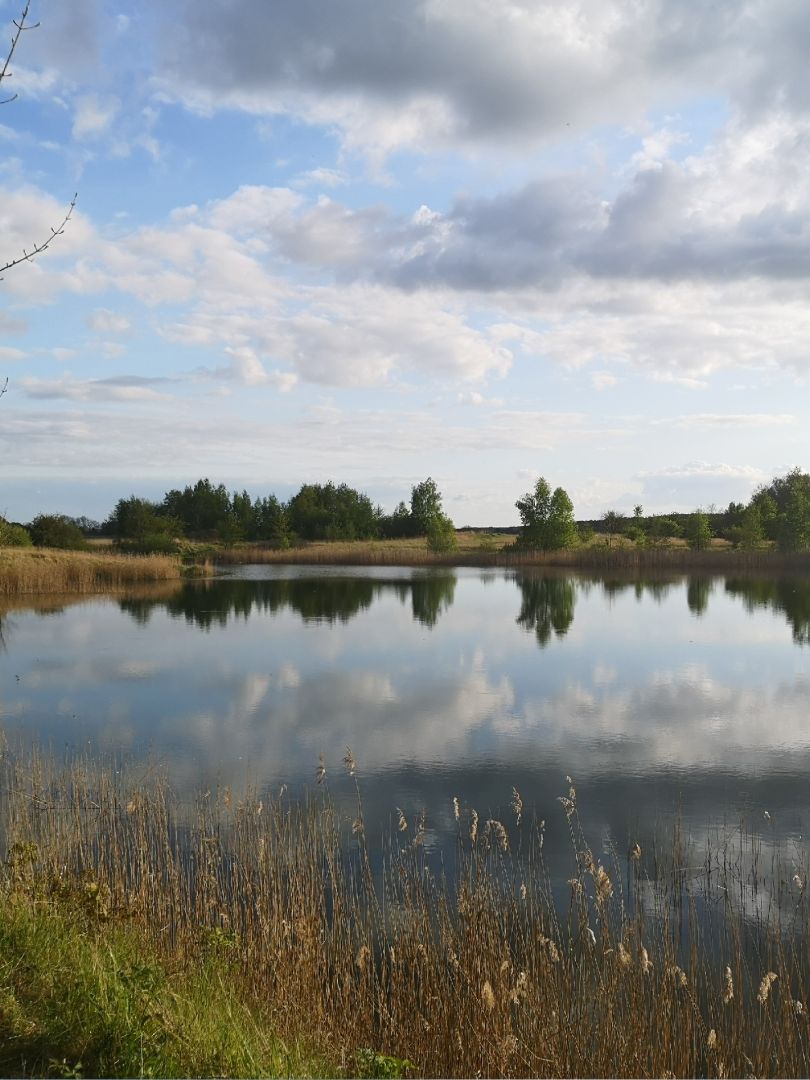 Teich Kransevitz angeln