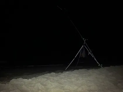 Ostsee (Markgrafenheide)