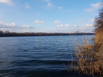 Rhein (Schwanau-Ottenheim)