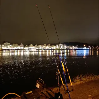 Trave (Travemünde)
