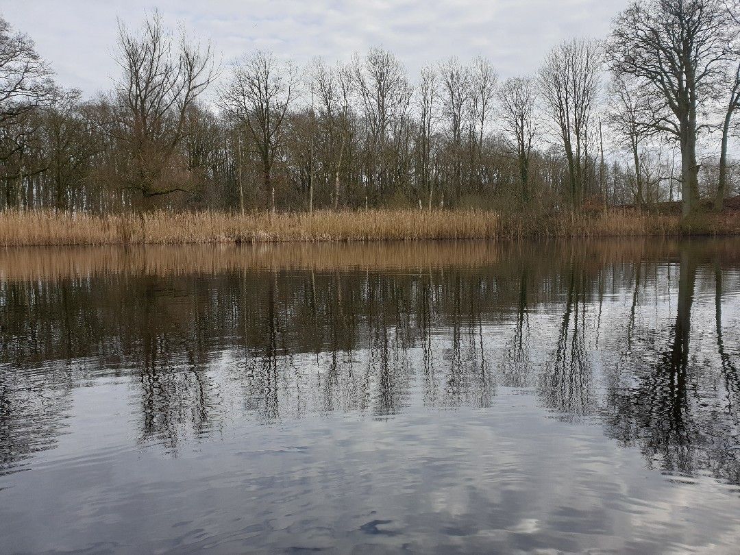 Krebssee (Kavelsdorf) angeln