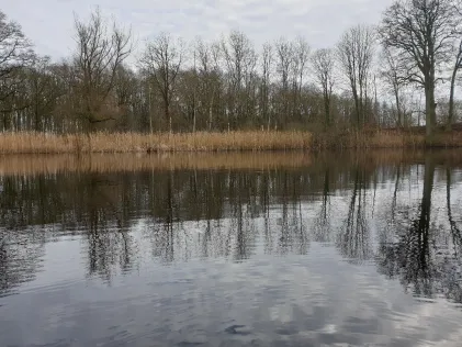 Krebssee (Kavelsdorf)