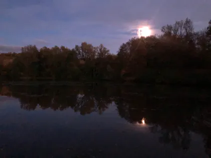 Wehrbachsee (Kleinbottwar)