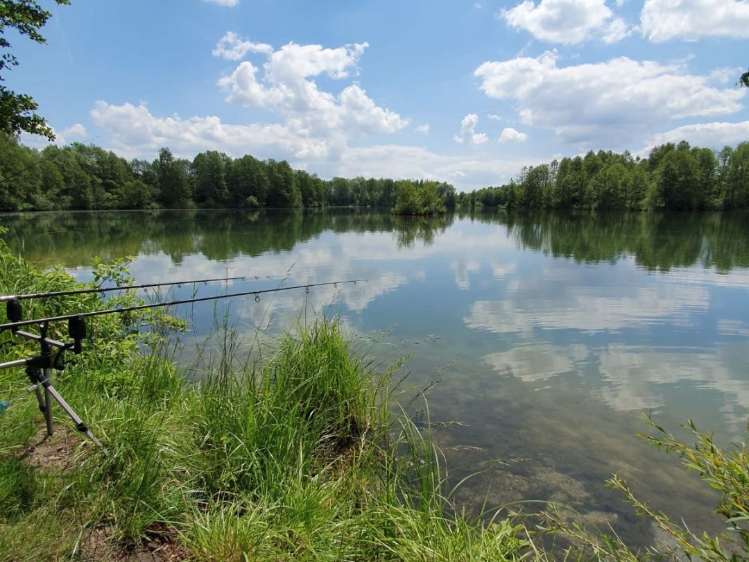 Schielein Weiher 2 angeln