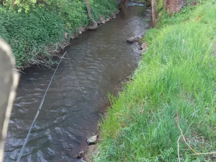 Appelbach