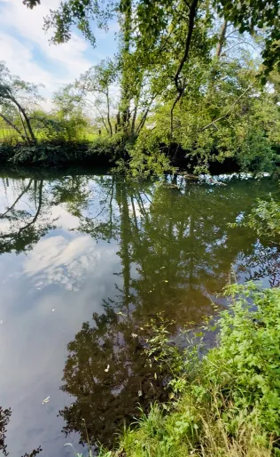 Kinzig (Hanau)