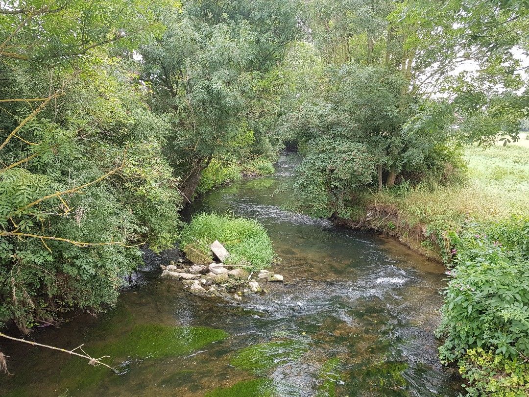 Angeln in Rüthen