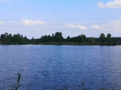Fischhofsee (Bömmerlschlagweiher)