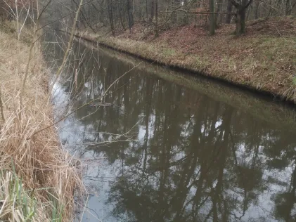 Ludwigsluster Kanal