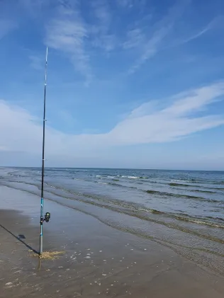 Kattegat (Bisnap Strand) 