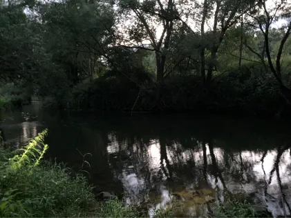 Else (Kirchlengern)