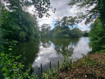 Ritterweiher (Bad Vilbel)