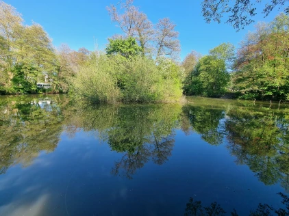 Ritterweiher (Bad Vilbel)