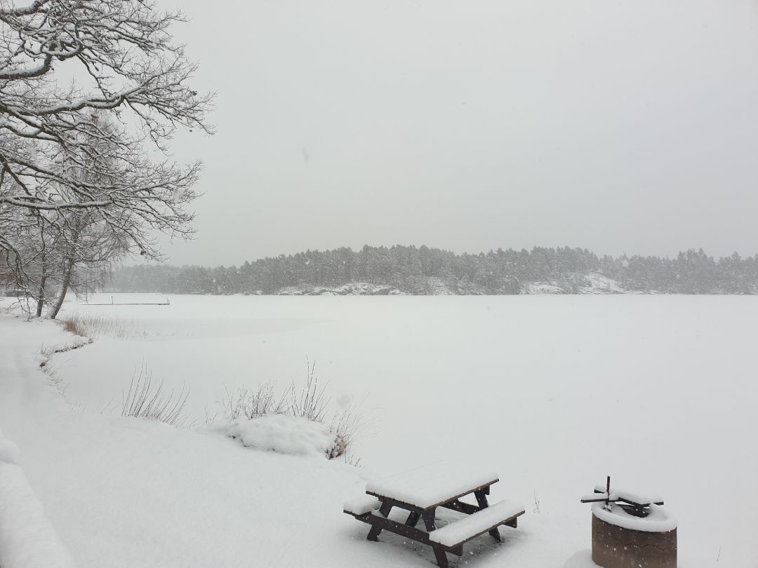 Stora Hammarsjön angeln