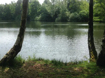 Wellenbruchsee