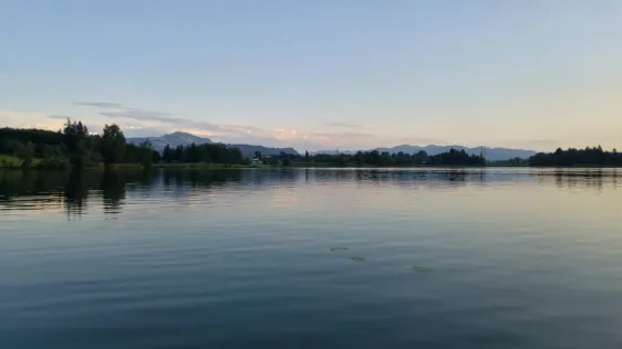 Öschlesee (Sulzberg)