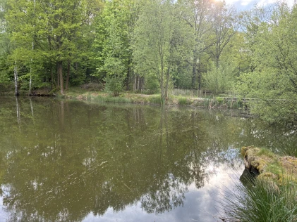 Ziegeleiteich Steinigtwolmsdorf