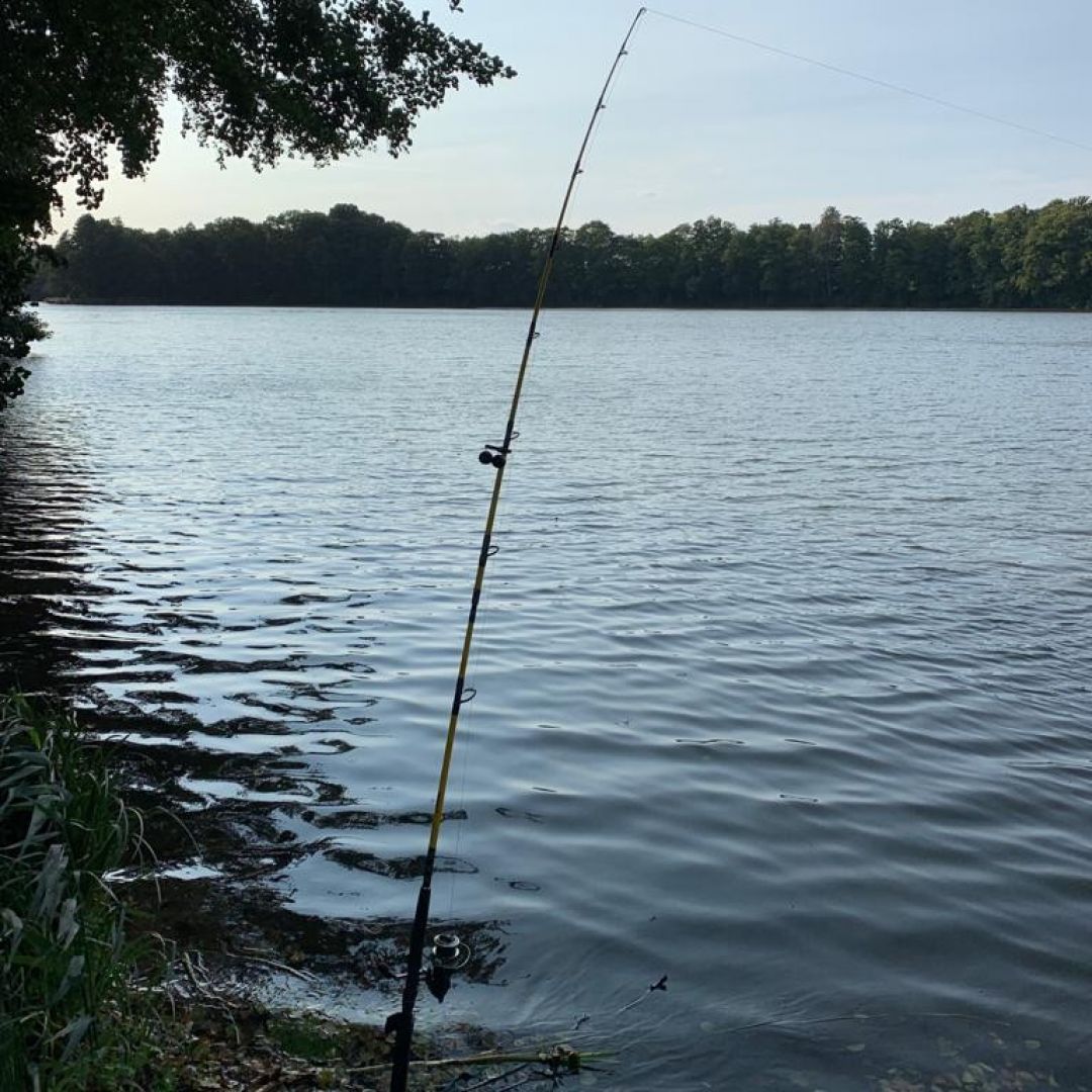 Weinbergsee (Diedersdorf) angeln