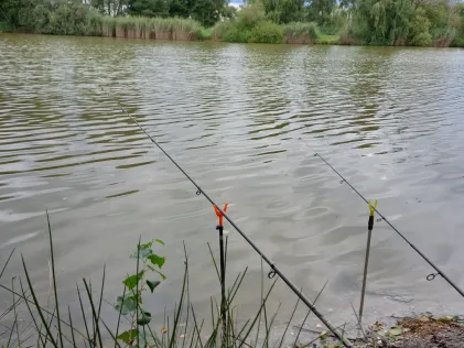 Angelteich Zeisholz