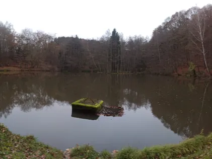 Spangsweiher