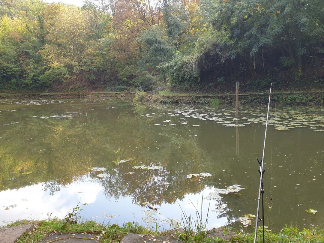 Finkenberg Teich (BonnBeuel) ALLE ANGELN