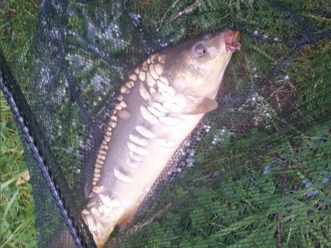 Speicher Klein Woltersdorf angeln