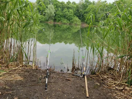 Börner See (Borgsdorf)